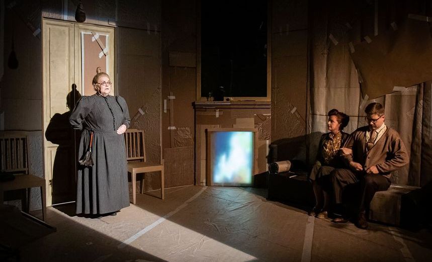 Лысая певица