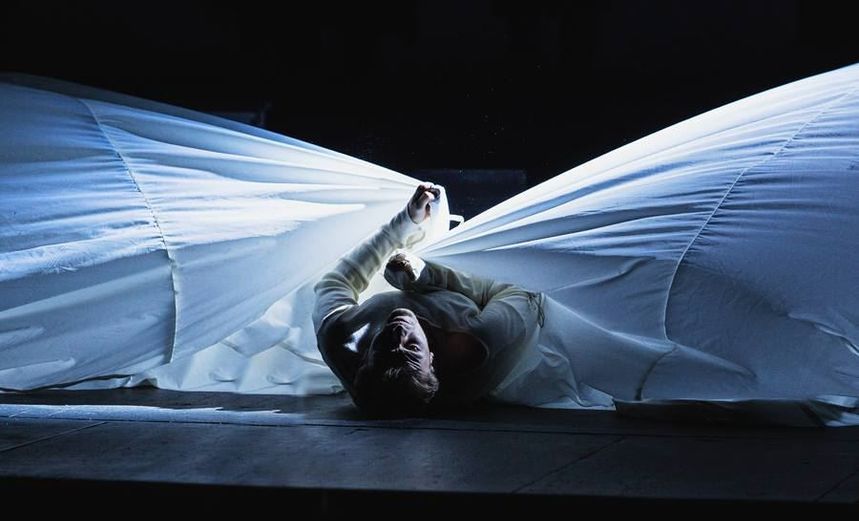 Цветы для Элджернона