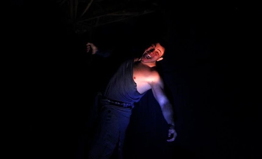 Как кот гулял, где ему вздумается