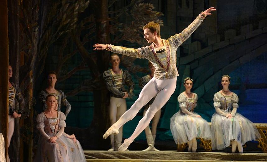 Лебединое озеро